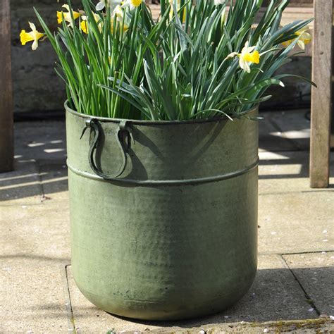 metal plants in containers